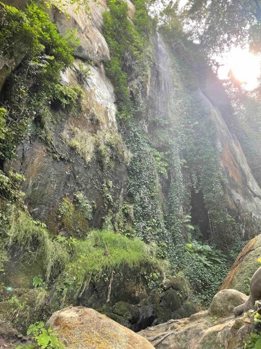The Groves At Redway Beach - Craftsman Dış mekan fotoğraf