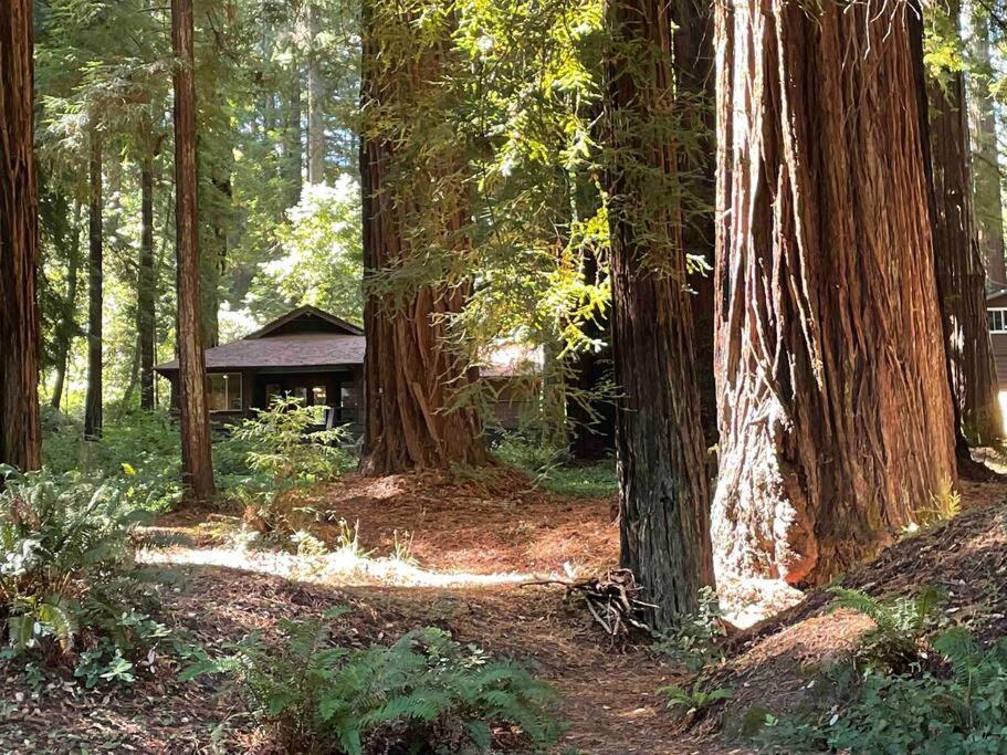 The Groves At Redway Beach - Craftsman Dış mekan fotoğraf